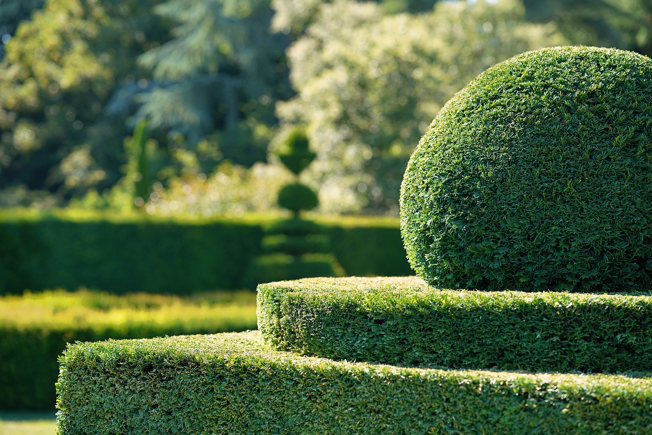 Najnowsze trendy w projektowaniu ogrodów: jak stworzyć piękny i funkcjonalny ogród w 2023 roku